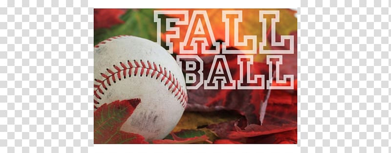 Little League Baseball Baseball Bats Sports league, Baseball Tournament Flyer transparent background PNG clipart