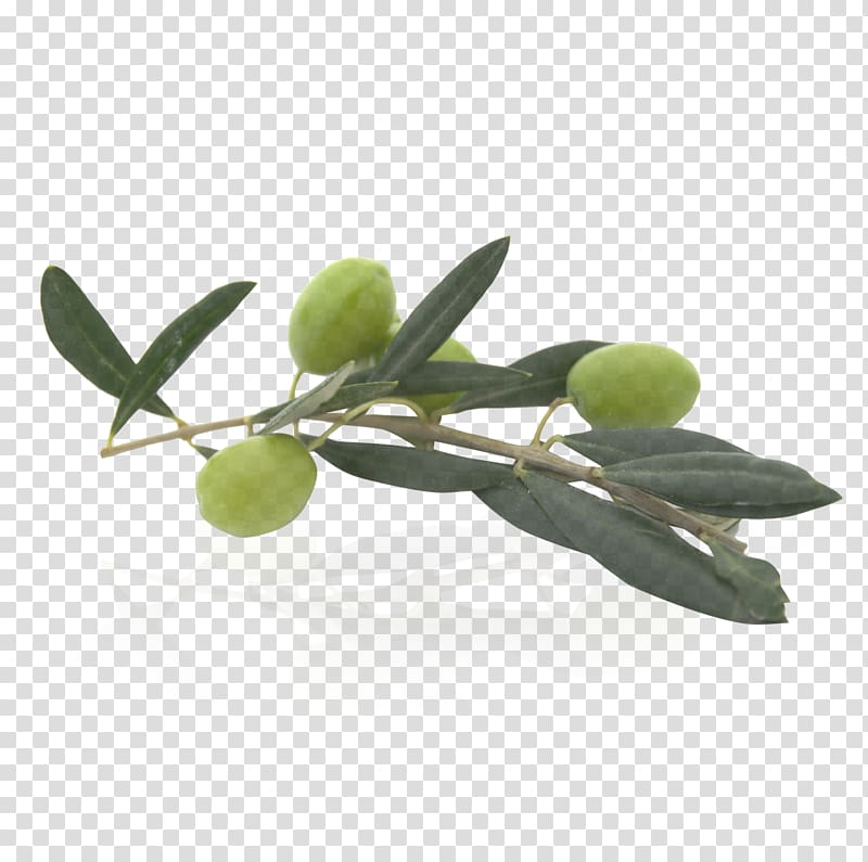 Olive oil Food, olive transparent background PNG clipart