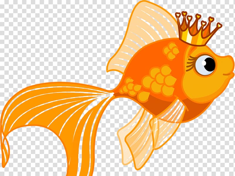 Goldfish , fish transparent background PNG clipart