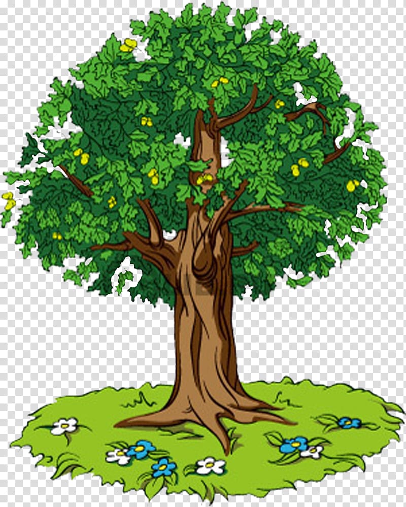 Tree Oak Lesson Self-reflection Knowledge, bonsai tree circle transparent background PNG clipart