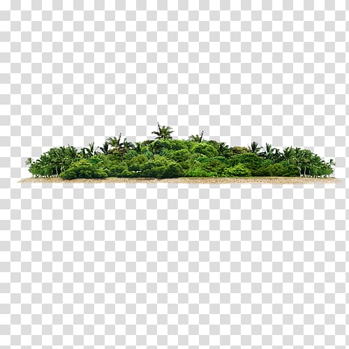 green leafed plant in island , Yerba Buena Island South Korea Icon, Sea island transparent background PNG clipart