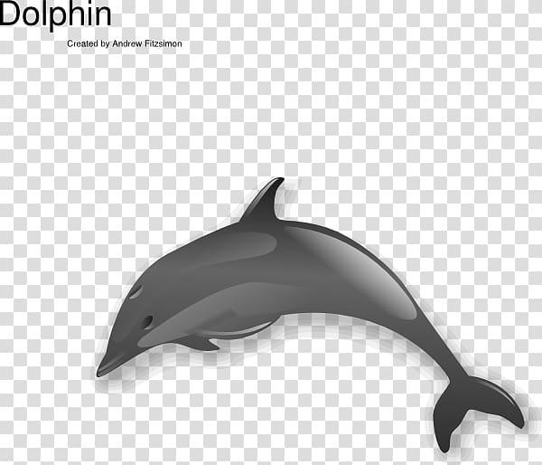 Dolphin Free content , Dolphins Jumping transparent background PNG clipart