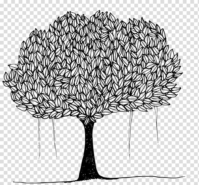 Tree Ficus religiosa Banyan , tree transparent background PNG clipart