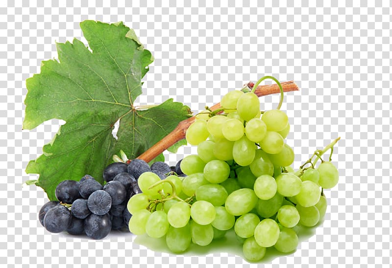 white and purple grapes, Apple juice Common Grape Vine Must, Black summer foliage green grapes transparent background PNG clipart