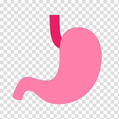 Stomach Computer Icons Digestion Gastrointestinal tract Human digestive system, Stomach icon transparent background PNG clipart