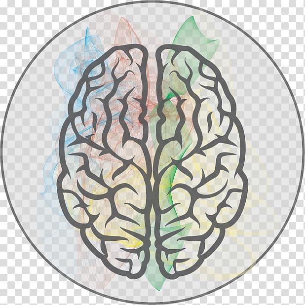 Graphics Human brain , Brain transparent background PNG clipart | HiClipart