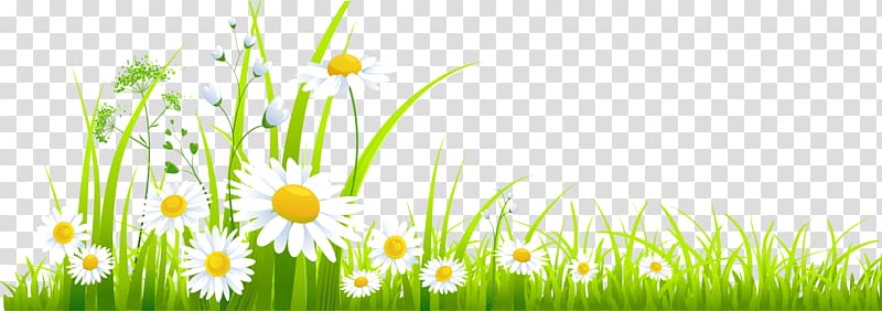 Portable Network Graphics Lawn Open , natural background transparent background PNG clipart