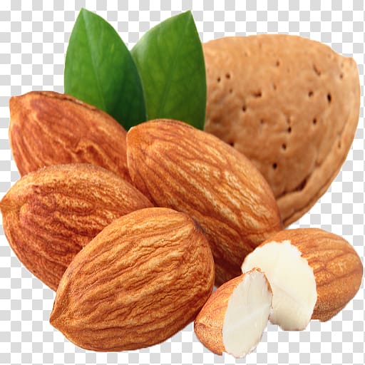 Almond Carrier oil Food Nut, almond transparent background PNG clipart