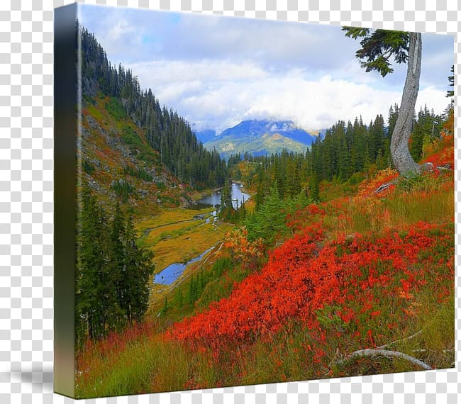 Mount Scenery National park Painting Gallery wrap Biome, painting transparent background PNG clipart