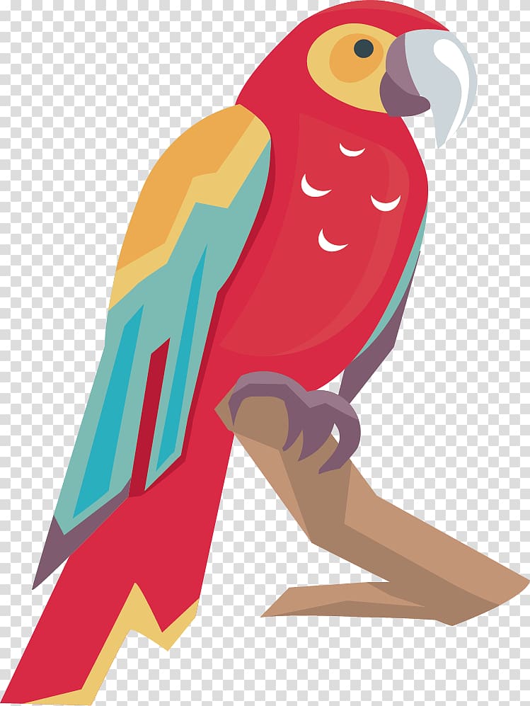 Lovebird Amazon parrot Macaw, parrot transparent background PNG clipart