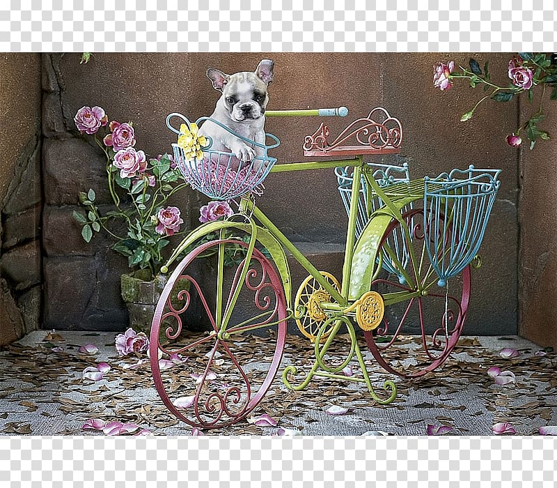 French Bulldog Jigsaw Puzzles Educa Borràs Game, educação transparent background PNG clipart