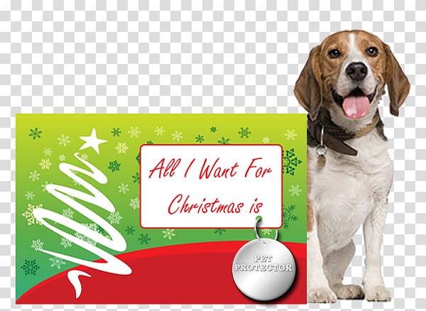 Pet sitting Puppy Dachshund Cat Bark, christmas pets transparent background PNG clipart