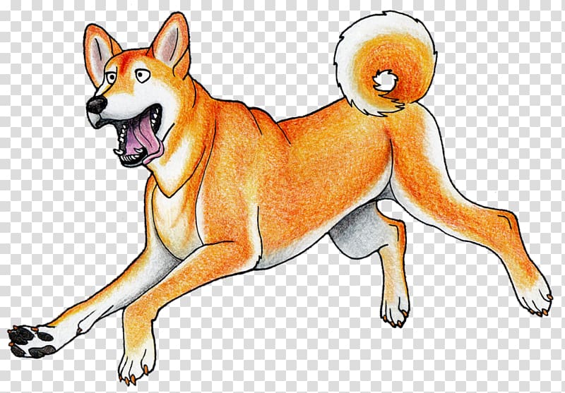 Dog breed Shiba Inu Shikoku Dingo New Guinea singing dog, emperors new groove transparent background PNG clipart