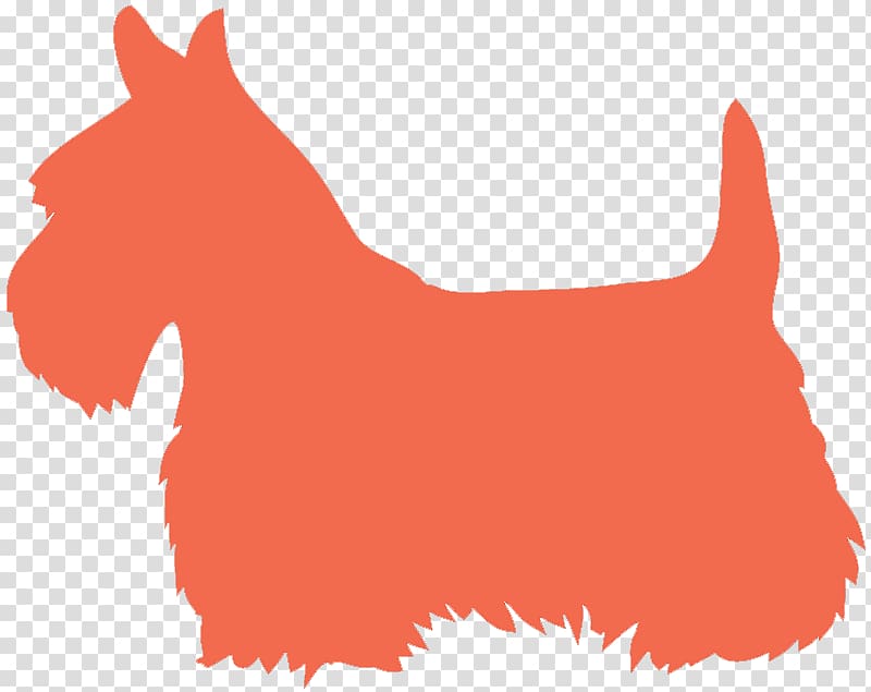 Scottish Terrier Yorkshire Terrier West Highland White Terrier Boston Terrier Jack Russell Terrier, puppy transparent background PNG clipart