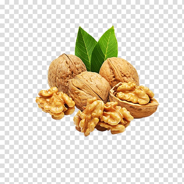 four walnuts, Organic food English walnut Almond, walnut transparent background PNG clipart