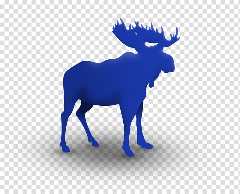 Moose on the Loose Family Fun Run & 5K Deer Birthday , MOOSE transparent background PNG clipart