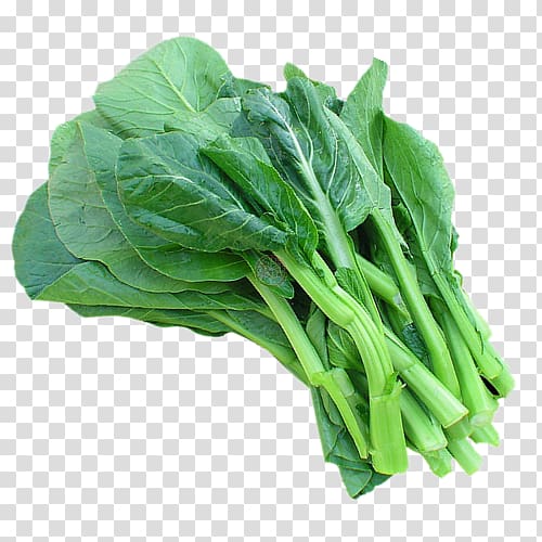 Spinach Chinese broccoli Collard greens Spring greens Celtuce, Curry Mee transparent background PNG clipart