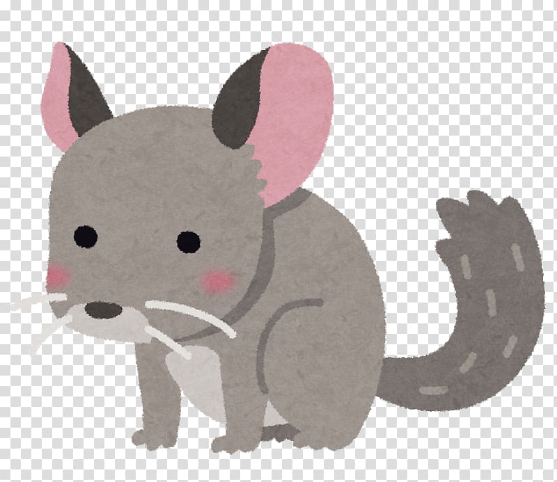 Long-tailed chinchilla ネズミ Cat Whiskers Pet, Cat transparent background PNG clipart