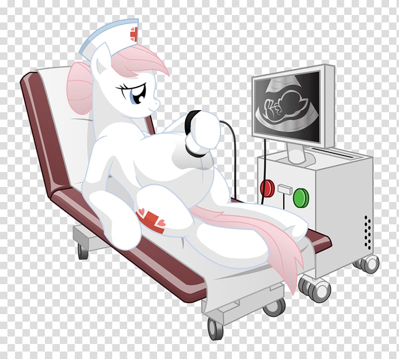 Pregnancy Pony Ultrasonography Nursing Fetus, pregnancy transparent background PNG clipart