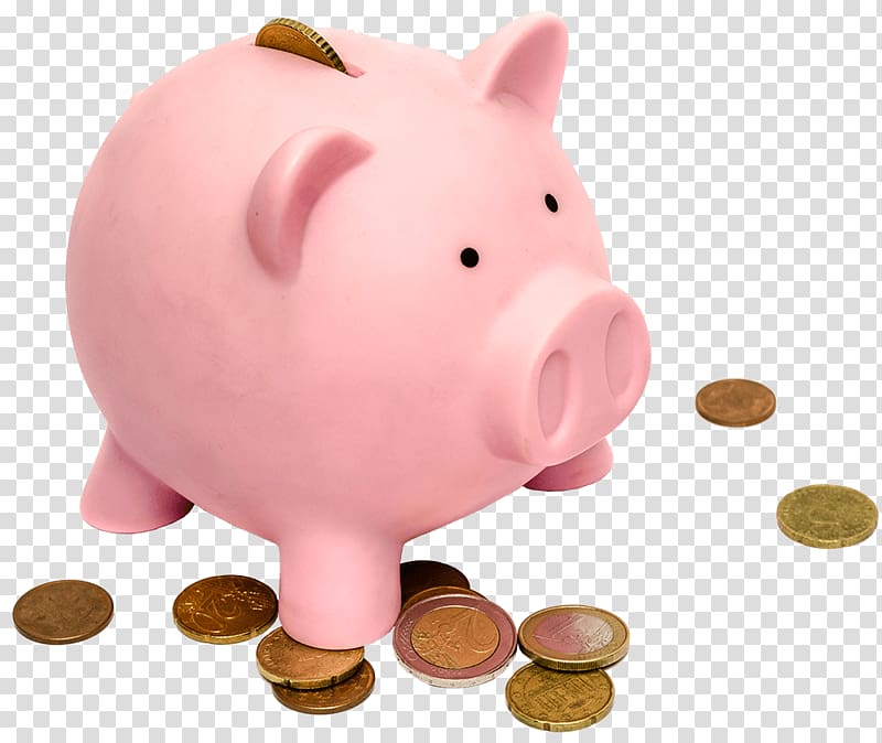 Piggy bank transparent background PNG clipart