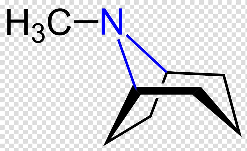 Cocaine Chemistry Erythroxylum coca Chemical substance Alkaloid, formular transparent background PNG clipart