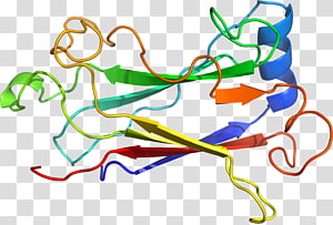 Line Point Organism , line transparent background PNG clipart thumbnail