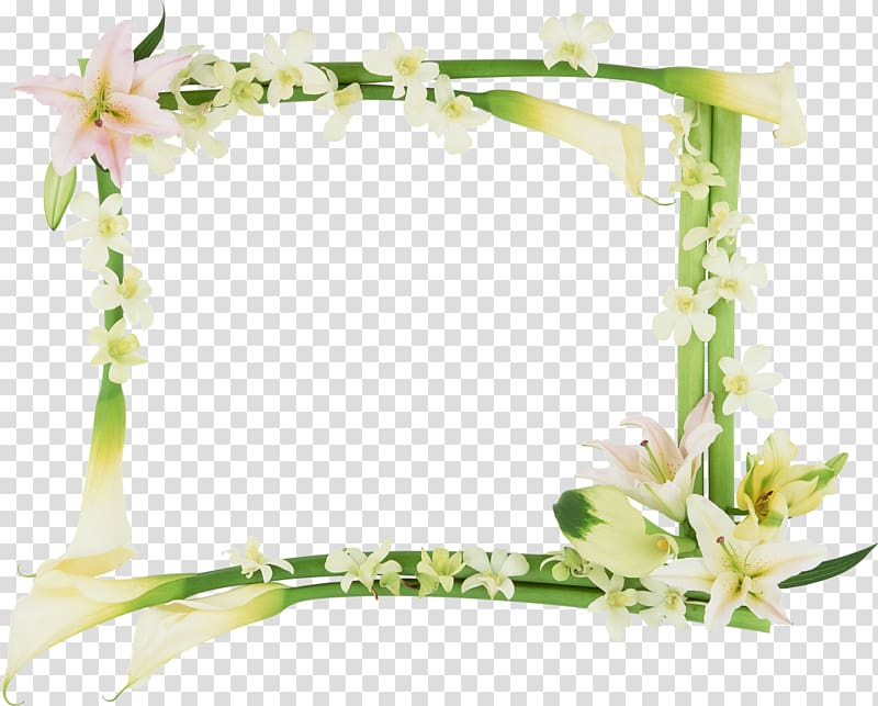 Frames Flower, wounds transparent background PNG clipart