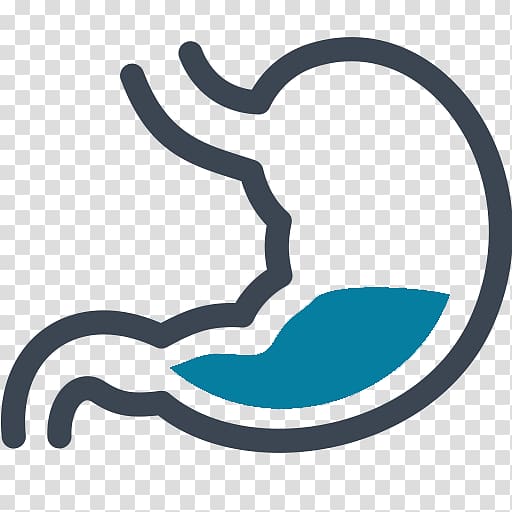 Gastroenterology Computer Icons Stomach , others transparent background PNG clipart