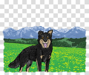 Dog breed Obedience training Razas nativas vulnerables Obedience trial, Wild Dog transparent background PNG clipart thumbnail
