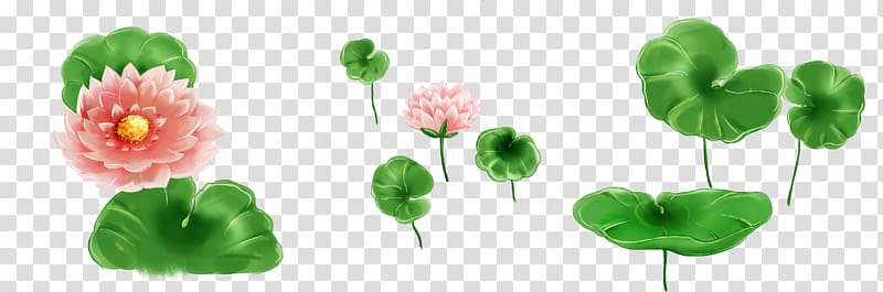 Nelumbo nucifera Petal Leaf Lotus effect, Cartoon Great fresh lotus lotus transparent background PNG clipart