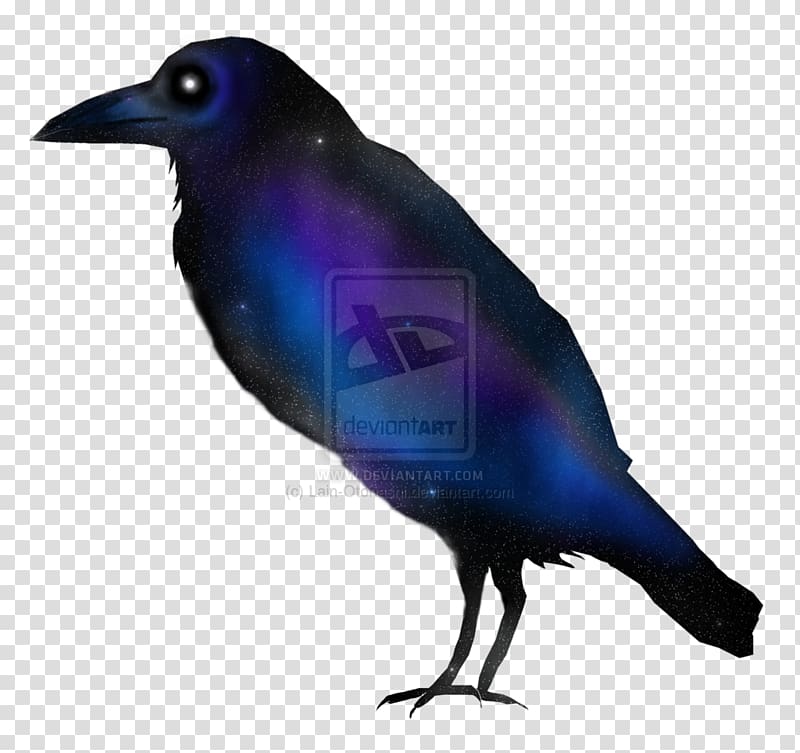 American crow New Caledonian crow Cobalt blue, lain transparent background PNG clipart