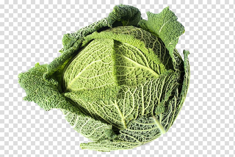 Savoy cabbage Kale Collard greens, Cabbage transparent background PNG clipart