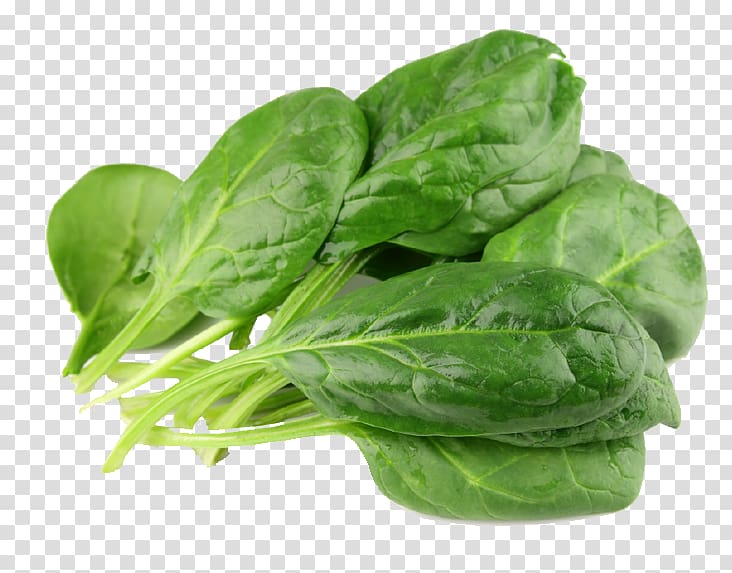 Smoothie Spinach Leaf vegetable Food, vegetable transparent background PNG clipart