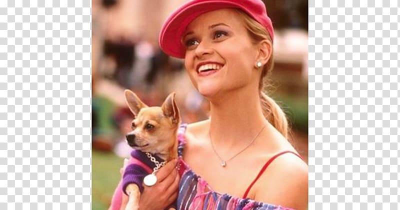 Reese Witherspoon Legally Blonde Elle Woods Chihuahua Death, Deacon Reese Phillippe transparent background PNG clipart