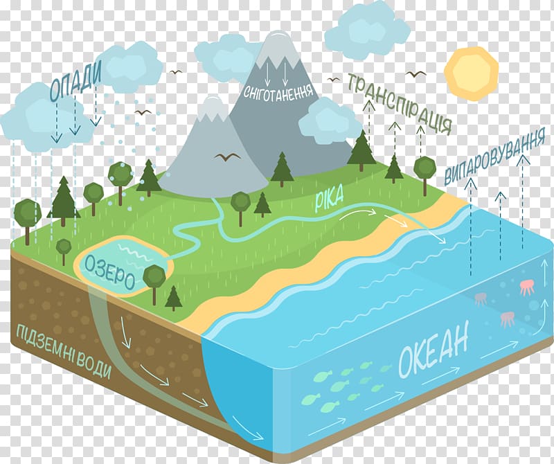 Water cycle Diagram Condensation, diagram transparent background PNG clipart