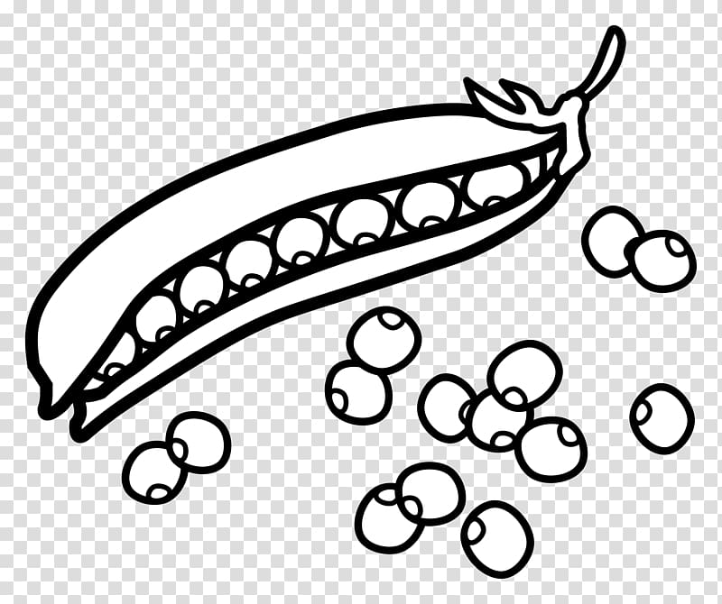 Pea Drawing , pea transparent background PNG clipart