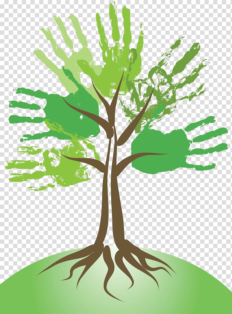 Tree , hand-painted giving tree transparent background PNG clipart