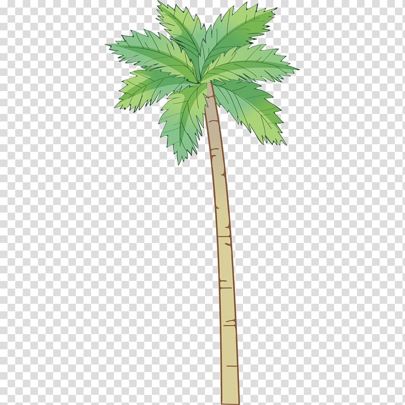 Arecaceae Coconut Tree, Hand-painted coconut tree pattern transparent background PNG clipart