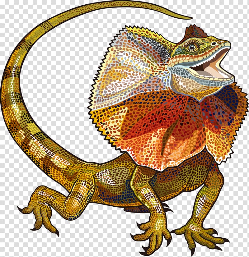 Lizard transparent background PNG clipart