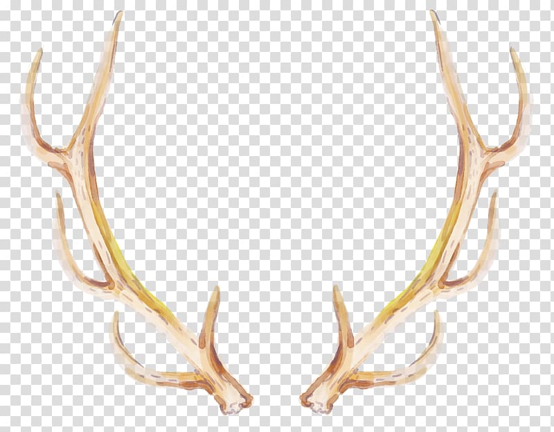 hand-painted antlers transparent background PNG clipart