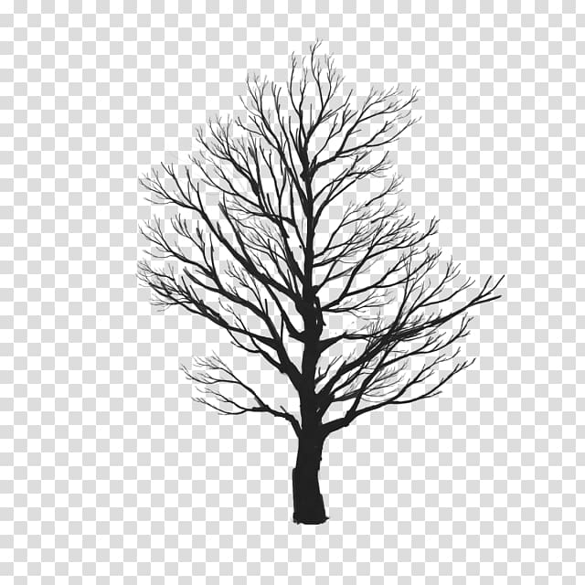 Mural Birch, 3d tree toys transparent background PNG clipart