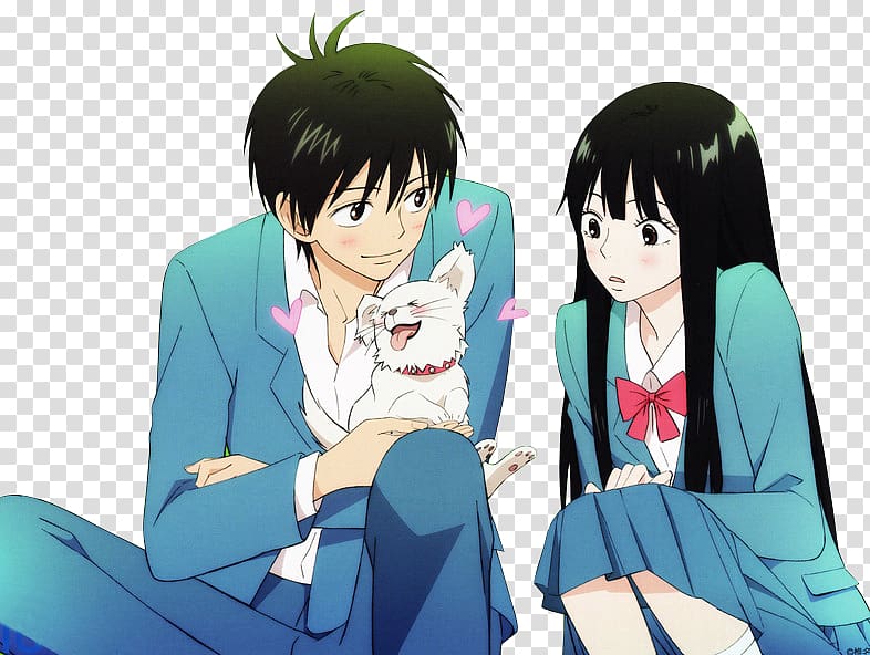 Kimi ni Todoke Sawako Kuronuma Sadako Yamamura Anime Manga, anime couple transparent background PNG clipart