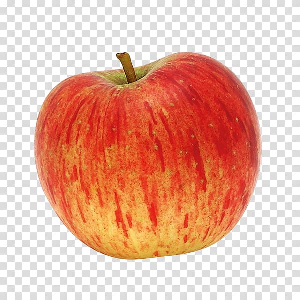 McIntosh red Reinette Table apple King of the Pippins, apple transparent background PNG clipart