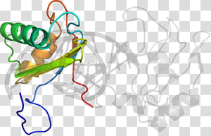 Line art Point , line transparent background PNG clipart thumbnail