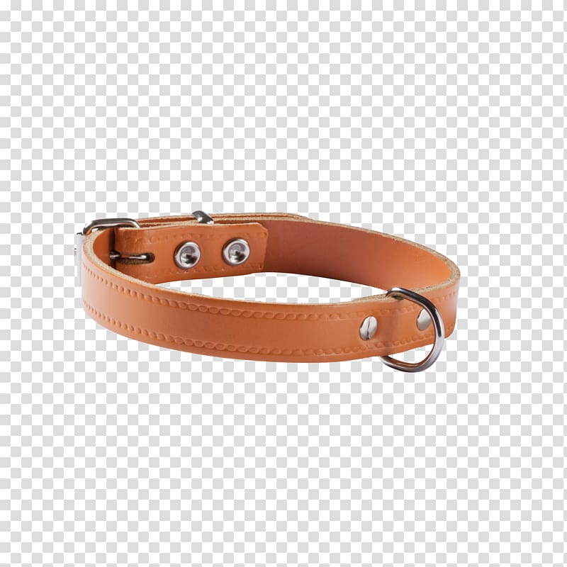 Belt Buckles Dog collar Dog collar Leash, Dog transparent background PNG clipart