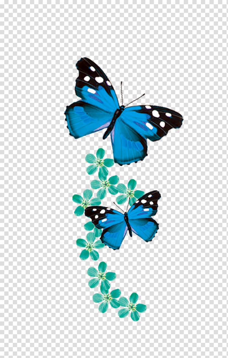 two flying blue-and-black butterflies art, Monarch butterfly Blue, blue butterfly transparent background PNG clipart