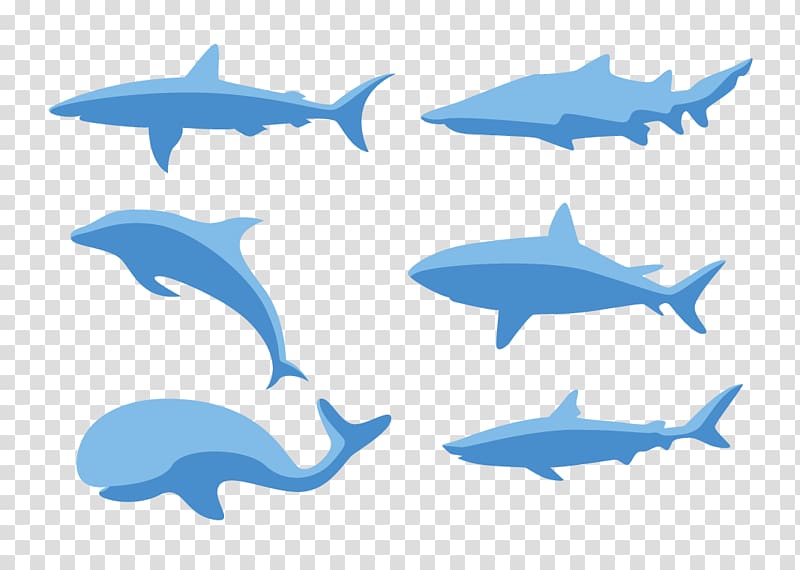 Common bottlenose dolphin , A variety of fish transparent background PNG clipart