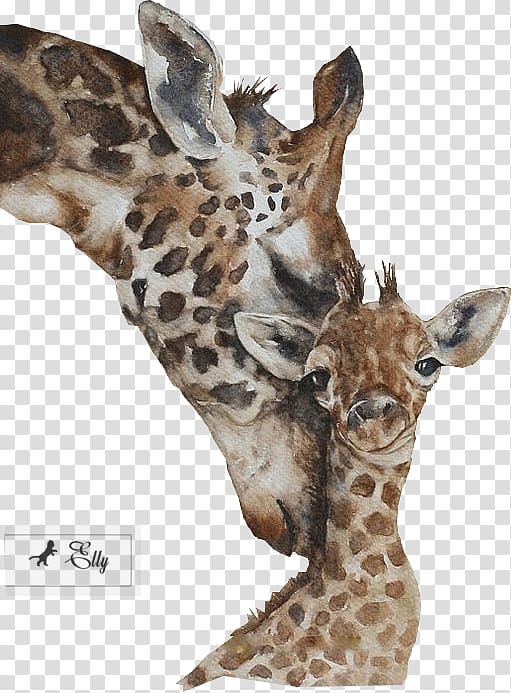 Watercolor painting Artist trading cards Printmaking, giraffes transparent background PNG clipart
