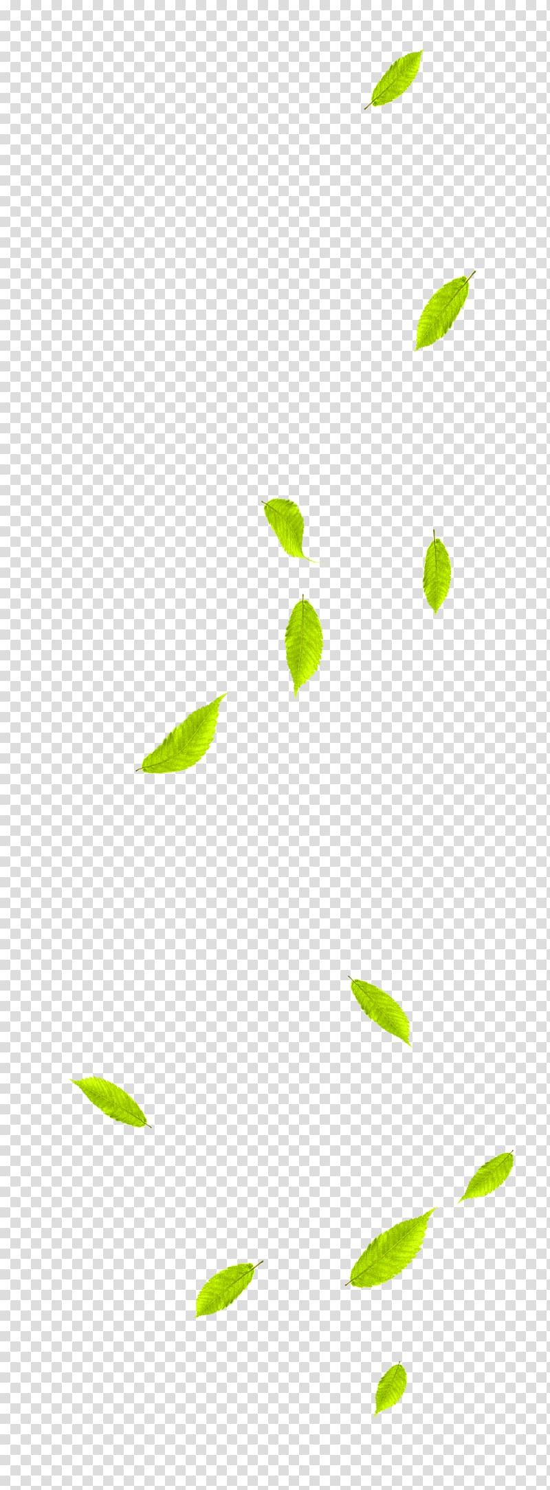 Leaf Green, Green and fresh leaves floating material transparent background PNG clipart