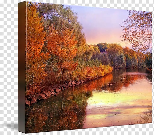 Painting Gallery wrap Canvas River State park, painting transparent background PNG clipart